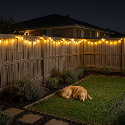 Eucalypt Twinkle Solar Fairy Lights (12 m, 100 LEDs)